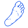 foot exam blue trans